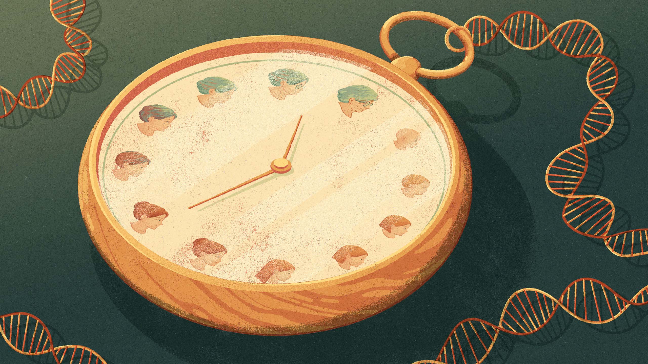 Quanta Magazine ‘Clocks’ Predict Animals’ True Biological Age My Aging Tests