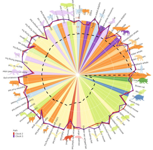 Universal Horvath Clock Third Generation Biological Age