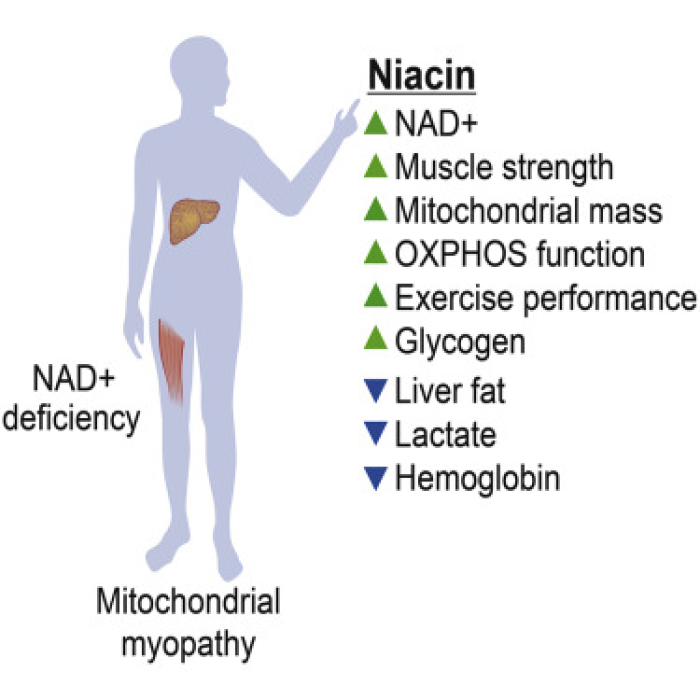 Niacin