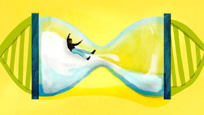 npr_grimage_final3_wide-ce55f311f9075c65ff7c948ae1ee8200fdb32c7e